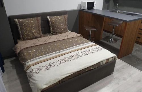 Uzhhorod Appartement | Silver Star Apartment