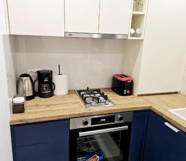 Radauti Appartement | Silvery Studio 20