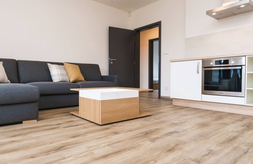 Chodov Appartement | Simba Klínovec by Interhome
