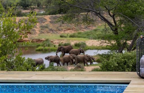 Thorny Bush Game Reserve Appartement | Simbavati Mvubu Cottage