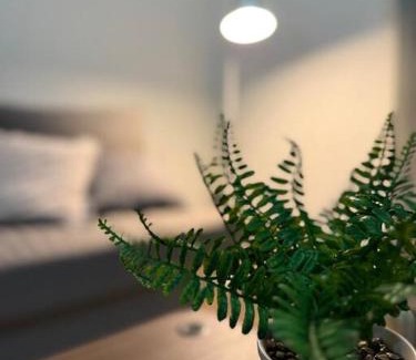 Mango Hill Appartement | Simple & Sweet Mango Hill Home - Big Patio