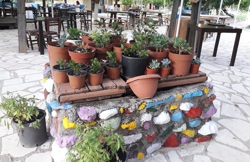 Olympos Hôtel | Simurg Evleri Olympos
