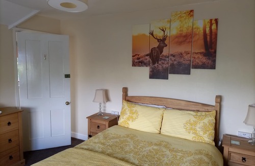 East Tisted Lit Et Petit-Déjeuner | Chambre Simple-Salle de bain et douche-B&B