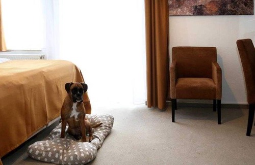 Bad Pyrmont Maison | Chambre Simple - Arthotel Brunnen