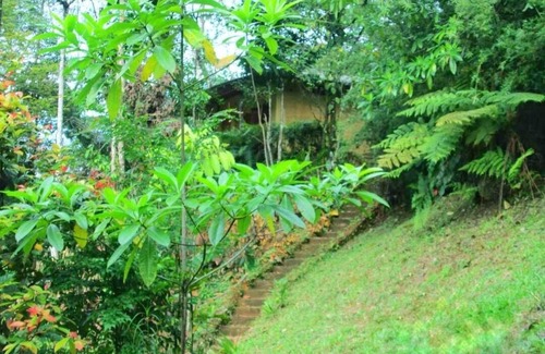 Nelluwa Cabine | Sinharaja Eco Lodge