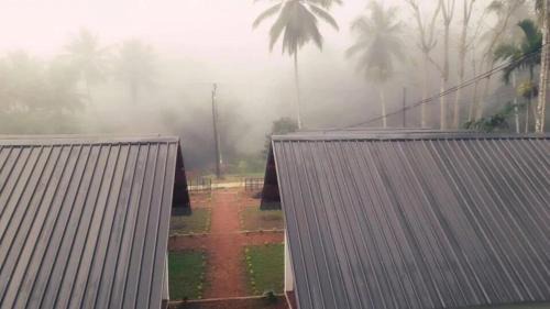 Kotapola Cabine | Sinharaja Forest Sanctuary