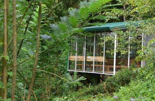 Kotapola Cabine | Sinharaja Kurulu Ella Eco Resort