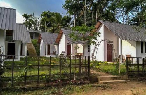 Kotapola Lit Et Petit-Déjeuner | Sinharaja Rainforest Sanctuary