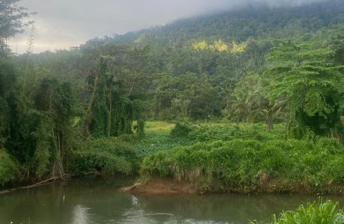 Kotapola Maison | Sinharaja Riverside