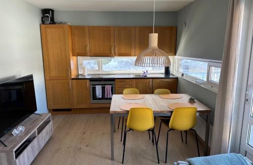 Sirdal Appartement | Sinnestunet 201A