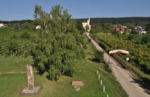 Balatonszepezd Chalet De Ski | Sir David Balaton Castle Apartmanok