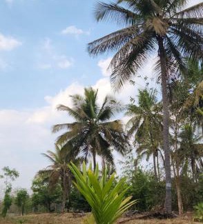 Kanakapura Autre | Siridhama Farm