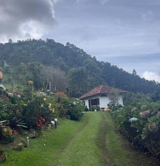 Sao Pedro da Serra Maison | Sitio com piscina natural e cascata, com linda vista em Lumiar.