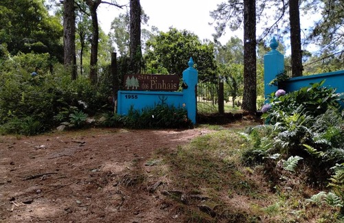 Pelotas Maison | Sitio dos pinhais