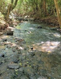 Marau Autre | Sitio marau rs