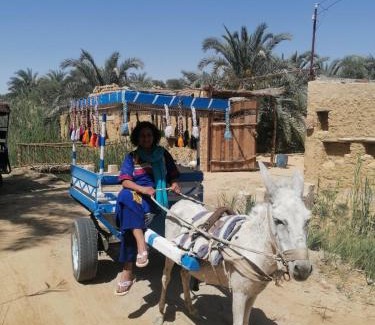 Siwa Maison | Siwa Kenz