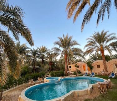 Siwa Hôtel | Siwa Palace Lodge