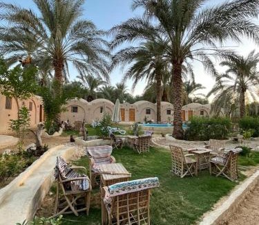 Siwa Hôtel | Siwa Palace Lodge