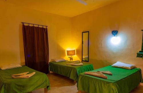 Siwa Station Balnéaire | Siwa Shali Resort