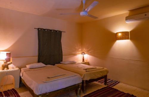 Siwa Station Balnéaire | Siwa Shali Resort