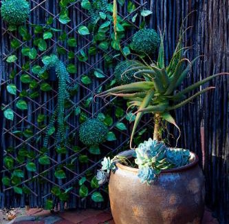 Waverley Maison | Sixty Three