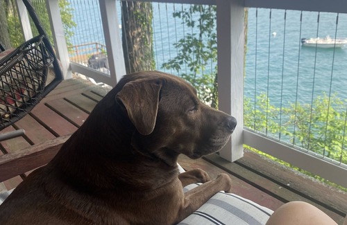 Moravia Cottage | Skaneateles Lakefront Cottage