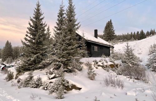 yer Chalet De Ski | Ski and Bike-In and Out