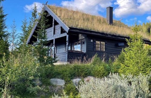 yer Chalet De Ski | Ski and Bike-In and Out