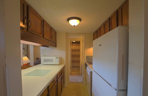 Mount Jackson Copropriété | Ski/MTB/Golf Condo (#132) - Slope side | Mountain, golf course views | Vaulted ceilings!