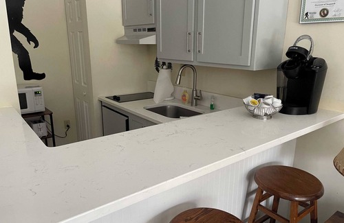Hancock Appartement | Ski On Off 1st Flr Suite Sleeps 4 Jiminy Peak New - Redone, Must See Country Inn