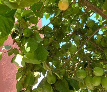 Bollullos de la Mitacion Appartement | Skydiversnestdotcom