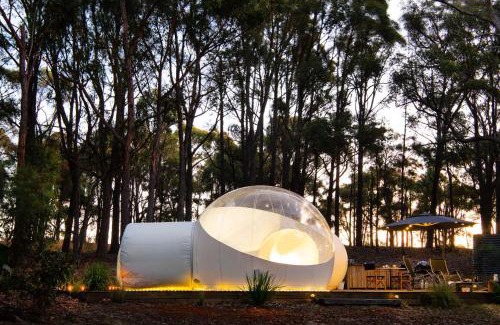 Eganstown Autre | Skyview Bubbletent