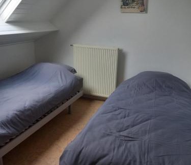 Vlimmeren Appartement | slapen bij alpacas