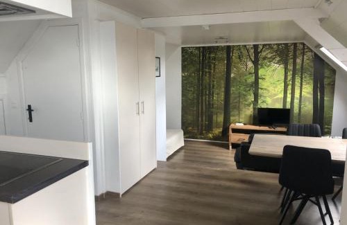 Vlimmeren Appartement | slapen bij alpacas