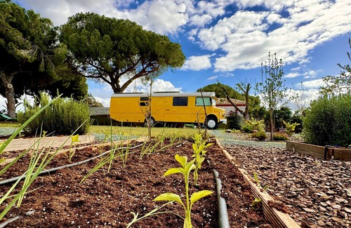 Bollullos de la Mitacion Maison | Sleeping in the Historic Bus 15 minutes from Seville surrounded by nature