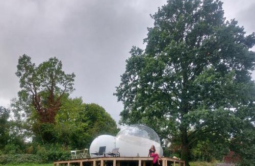 Antheit Autre | Sleep in a bubble