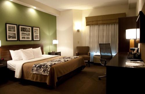 Cheektowaga Hôtel | Sleep Inn & Suites Buffalo Airport