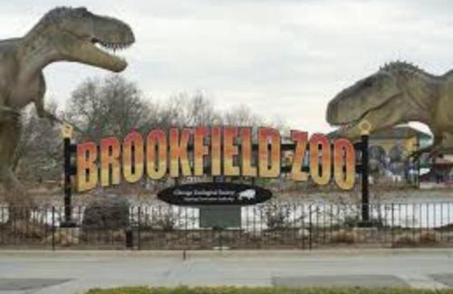 Brookfield Maison | Sleeps 10 + Coffee bar + Game Room + Train to CHGO