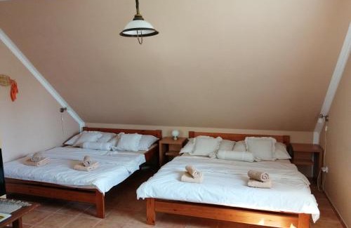 Domanin Maison | Slunečnice - Ubytování v soukromí na Třeboňsku