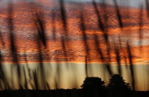 Beelitz Appartement | Petit appartement à câliner dans Natrupark