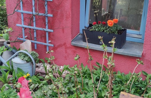 Fahlhorst Appartement | Small, cozy, newly renovated apartment in Nuthetal, between Potsdam and Berlin!