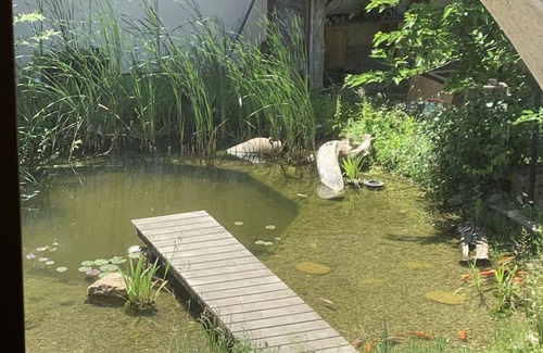 Chavanod Appartement | Petit appartement indépendant dans corps de ferme avec Climatisation