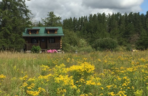 Shevlin Cabine | Petite cabane rustique au Black Lantern Resort