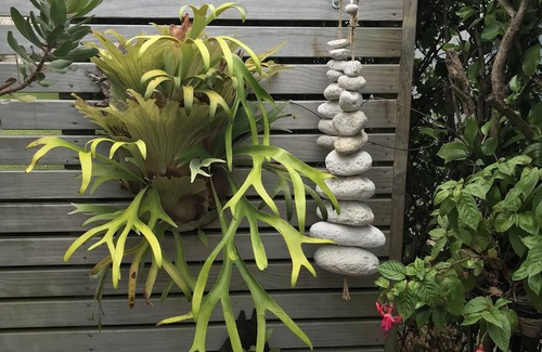 Waihi Beach Appartement | Small self contained studio with private deck, 5 mins walk to beach(vaccinated)