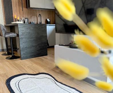Kielce Appartement | Smart Apart 62, City Center Kielce, main Square, FV, Targi, Sienkiewicza, Centrum