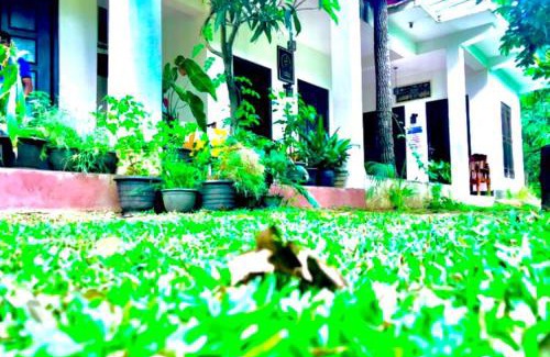 Dambulla Maison | Smashing Inn