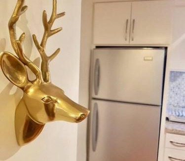 Zona Centro Appartement | Smooth & Vivid Downtown Condo