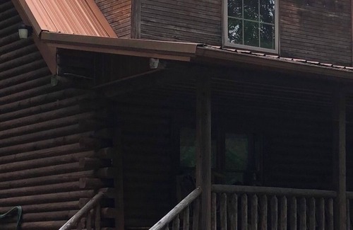 Webster Springs Cabine | Pour toute la famille, beaucoup de place! Elk River est proche pour la pêche et la natation!