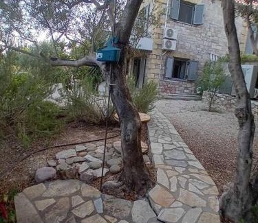 Pylos-Nestoras Appartement | Sofia's summer house