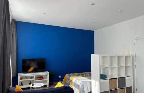 Charleroi Appartement | Sofieflat - Wallifornie
